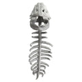 Dinosaur Skeleton Costume Set Dress up Clothing Plush Toys Party Cosplay - home decor by Extoril