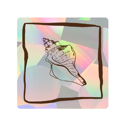 PrismVeil Conchara — Conch Shell Mosaic Rainbow Window Film