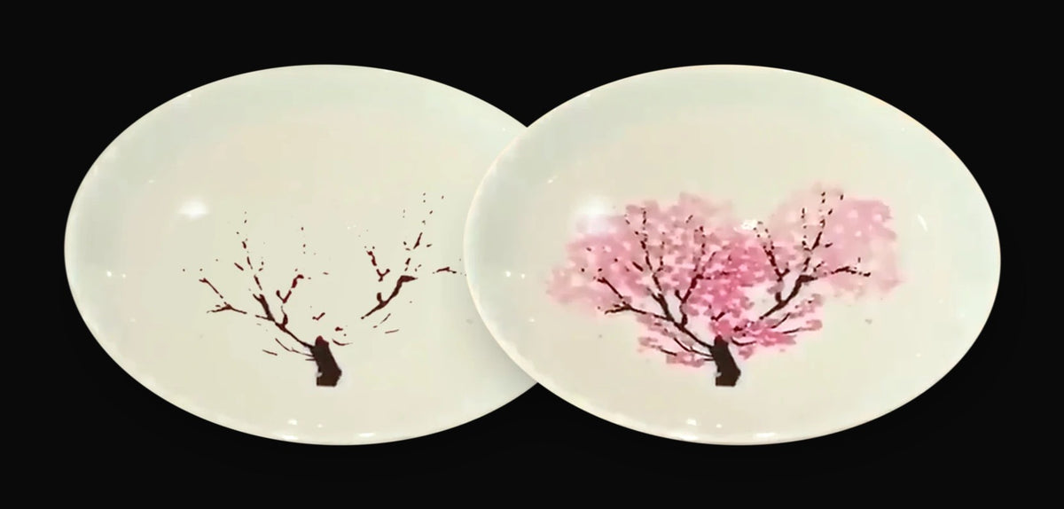 The same HIYAZAKURA cup twice: plain white at room temperature on the left, cherry blossoms in full pink bloom after a cold pour on the right.