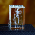 3D Crystal Anatomy Models — Brain Heart Skeleton - home decor by Extoril