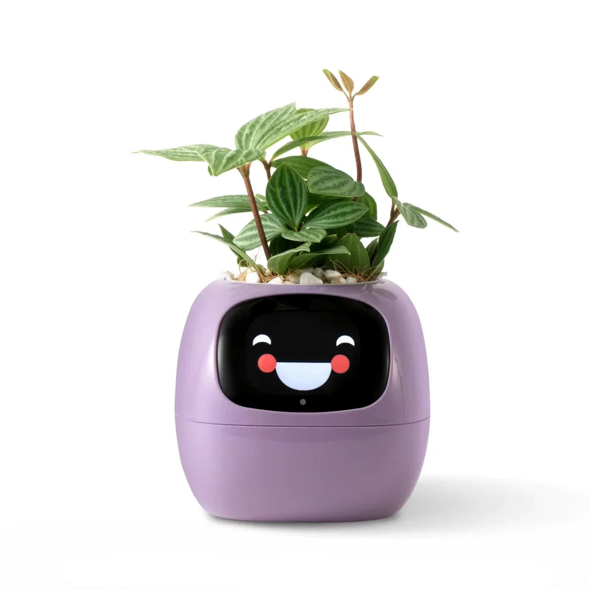 AI Smart Plant Pot Self-Watering Planter - Gadget by Extoril