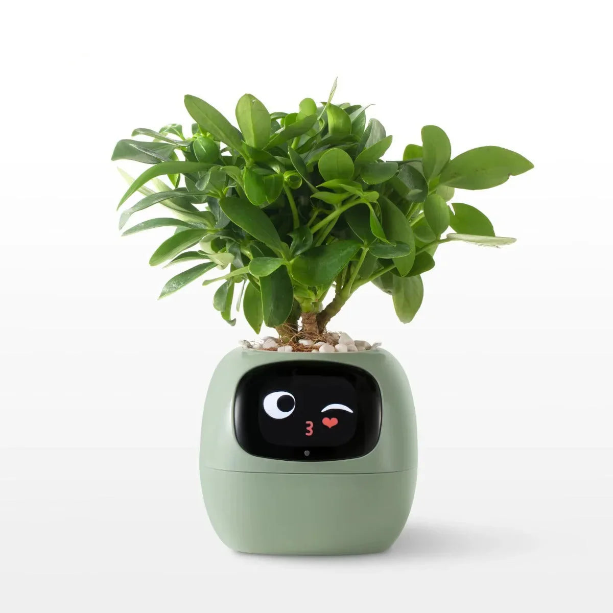 AI Smart Plant Pot Self-Watering Planter - Gadget by Extoril