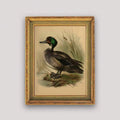 Canvas Prints - Framed Wall Art Posters - home decor by Extoril