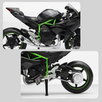 Elite 1:12 Ninja H2R Motorcycle Die-Cast Model - home decor by Extoril