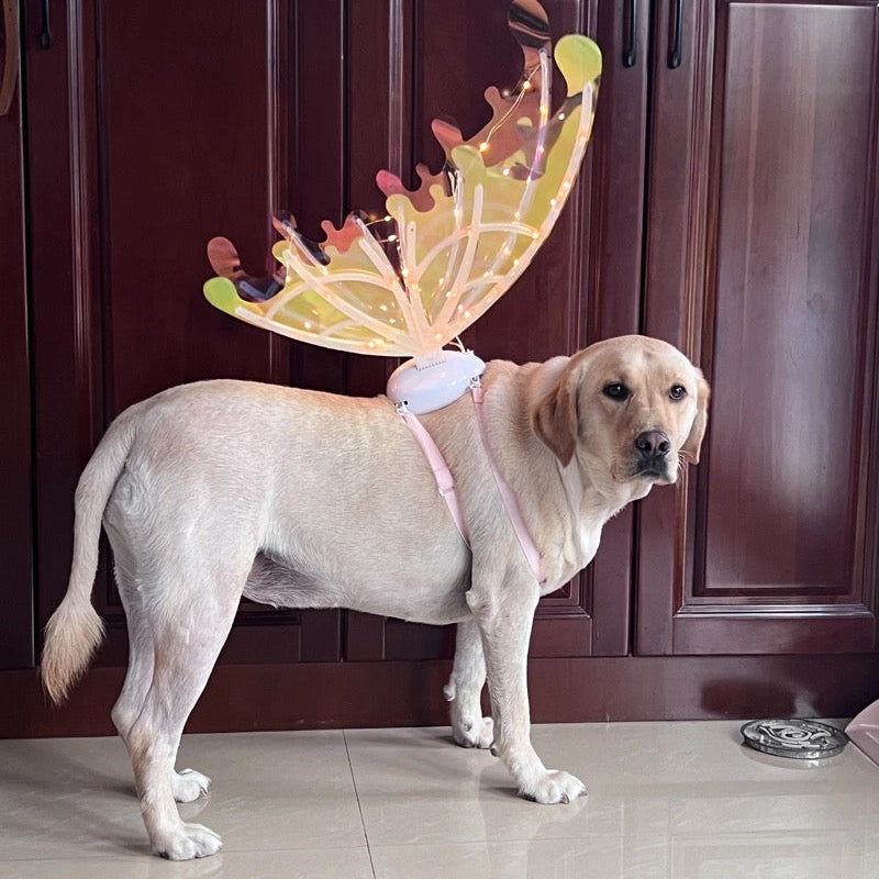LED Butterfly Wings Light Up Fairy Costume - Gadget by Extoril