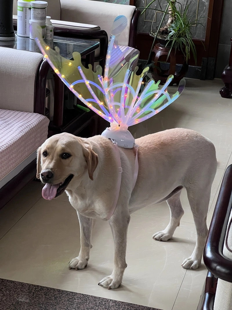 LED Butterfly Wings Light Up Fairy Costume - Gadget by Extoril