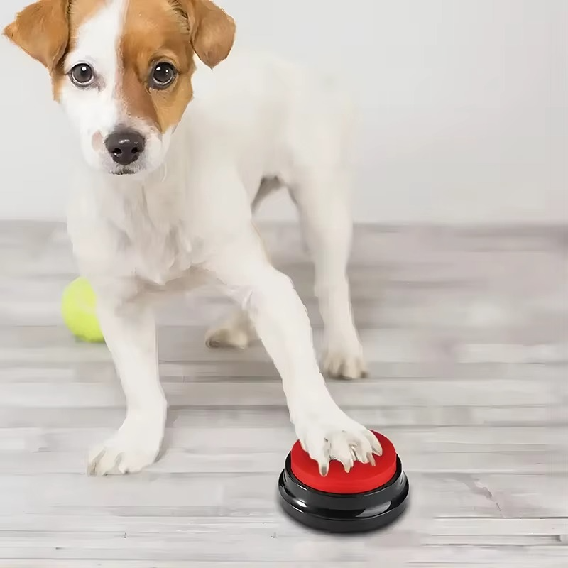 Recordable Pet Training Buttons 30 Second Dog Communication - Gadget by Extoril