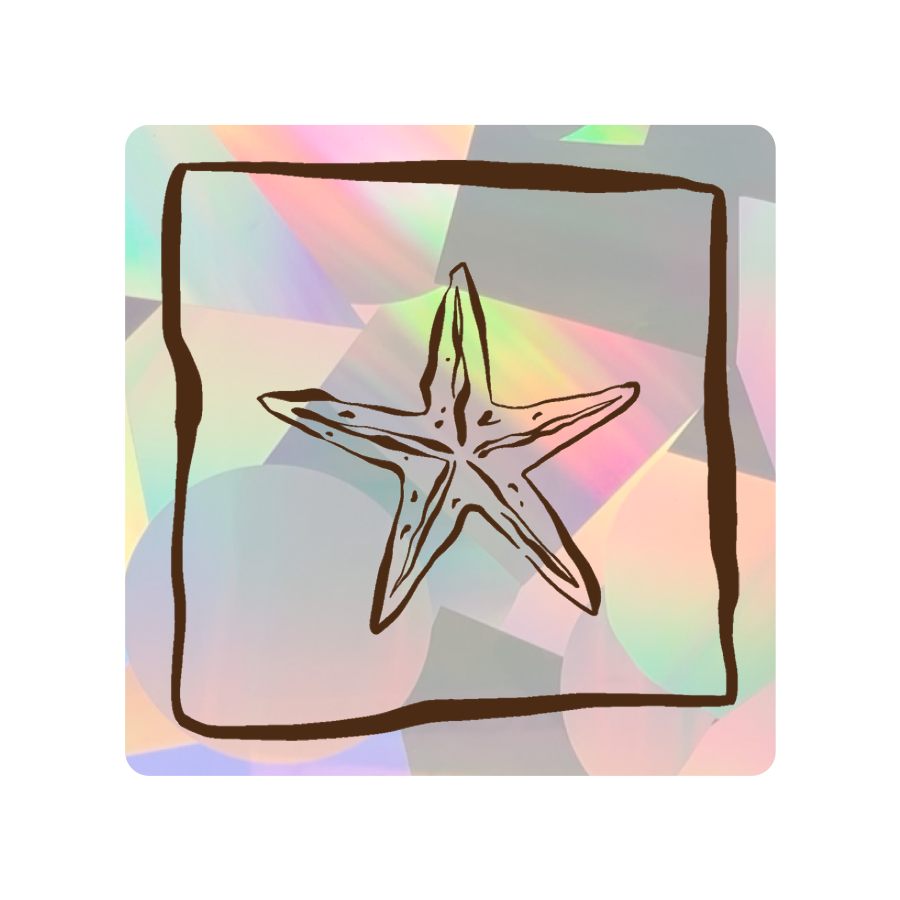 PrismVeil Asterion — Starfish Mosaic Rainbow Window Film